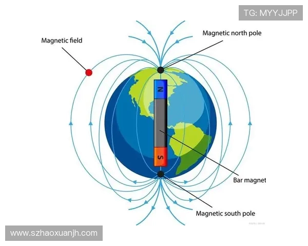 网球运动的魅力与发展趋势探讨及其对现代健康生活方式的启示