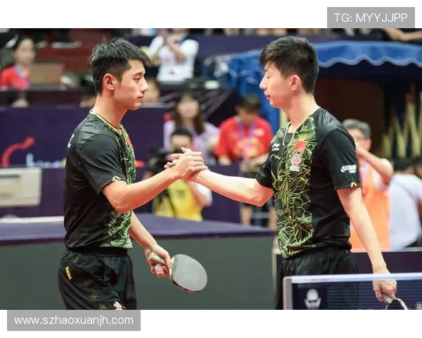 乒乓球的力量与坚持：深入解析北京乒乓球队的耐力训练与精神追求