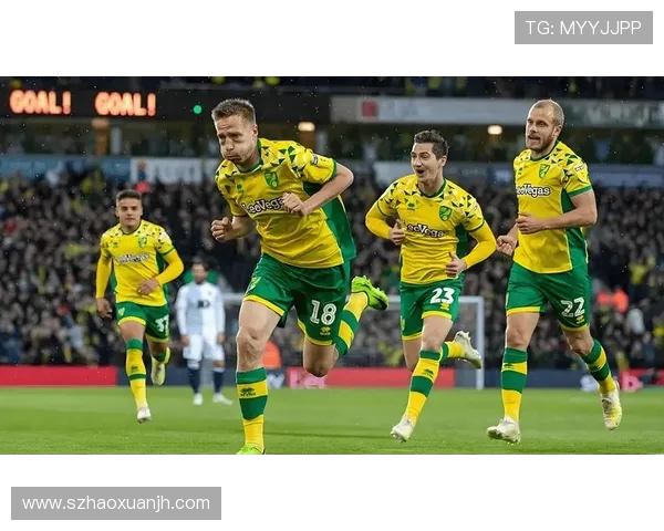 2019年诺维奇对阵谢菲尔德精彩回顾与赛后分析